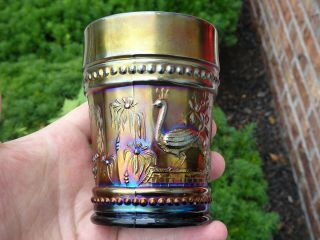 Antique Carnival Glass Peacock At Fountain Amethyst Tumbler Electric Iridescence