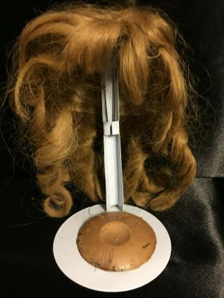 Antique Vintage Human Hair Doll Wig Size 12 3