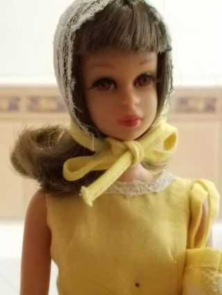 Vintage Francie Barbie Doll Circa 1960 