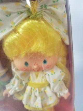 RARE Vintage Tulip Berrykin doll and Critter. 2