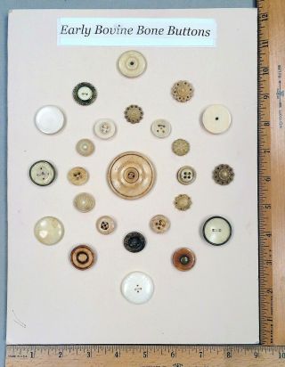 Card Of 25 Antique Buttons,  Assorted Bovine Bone,  Various Styles / Varieties