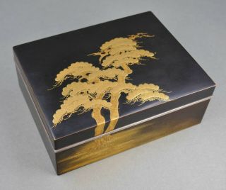 Fine Antique Japanese Kyoto Gold Lacquer Pine Tree Toyo Iizuka Style Black Box