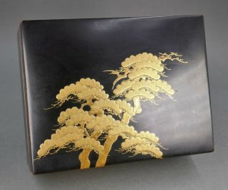 Fine Antique Japanese Kyoto Gold Lacquer Pine Tree Toyo Iizuka Style Black Box 2