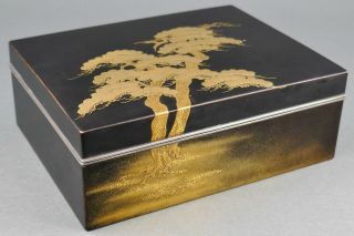 Fine Antique Japanese Kyoto Gold Lacquer Pine Tree Toyo Iizuka Style Black Box 5