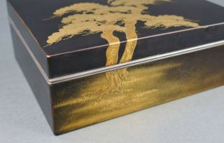 Fine Antique Japanese Kyoto Gold Lacquer Pine Tree Toyo Iizuka Style Black Box 6