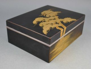 Fine Antique Japanese Kyoto Gold Lacquer Pine Tree Toyo Iizuka Style Black Box 7