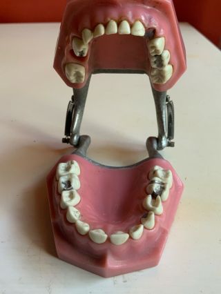 vintage antique teeth model dentist set ivorene dentoform Colombia dental x - ray 2