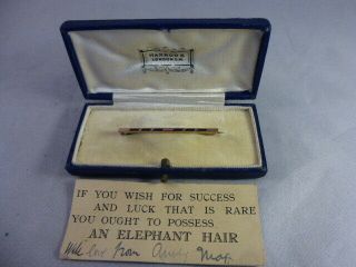 Antique 9ct Gold Elephant Hair Brooch / Pin By Harrod 