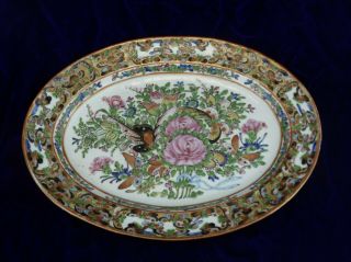 Chinese Export Vintage Famille Rose Canton Butterflies 11 Inch Platter