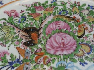 CHINESE Export Vintage Famille Rose Canton Butterflies 11 Inch Platter 2