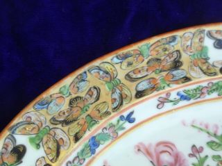 CHINESE Export Vintage Famille Rose Canton Butterflies 11 Inch Platter 3