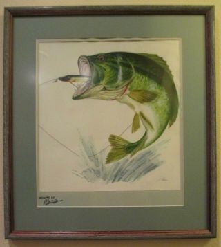 Creek Chub " Leaping - Bass - W/pikie - In - Mouth " Artist - - Signed - Numbered Print