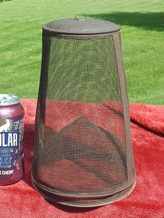 Rare Antique Tin & Screen Hanging Fly Trap 9 " H No Rust Holes