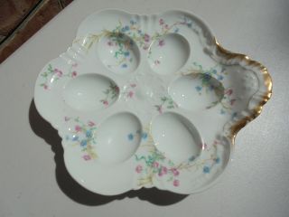 Old Antique Haviland Limoges France Porcelain Deviled Egg Plate Blue Pink Flower