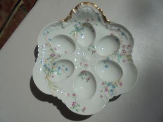 Old Antique Haviland Limoges France Porcelain Deviled Egg Plate Blue Pink Flower 2