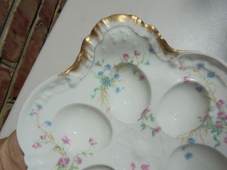 Old Antique Haviland Limoges France Porcelain Deviled Egg Plate Blue Pink Flower 5