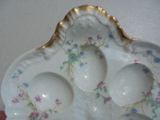 Old Antique Haviland Limoges France Porcelain Deviled Egg Plate Blue Pink Flower 8