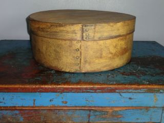 Huge Wooden Mustard Paint Pantry Box - Shaker - 16 1/2 " - Spice - Old Bentwood Firkin