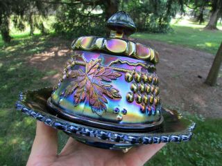 Northwood Grape And Cable Antique Carnival Glass Covered Butter Dish Purple