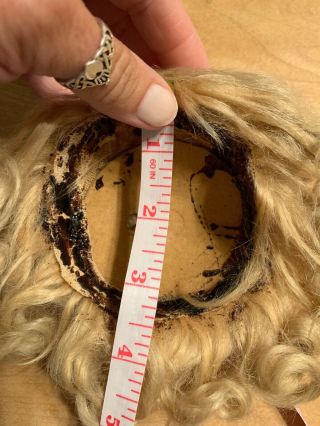 Blonde Wig For Antique Doll W/ Pate 7