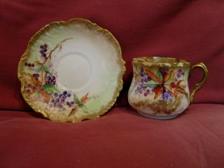 Stunning Antique C.  1896 Nautilus Scottish Porcelain Cabinet Cup And Saucer
