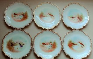 Antique,  Circa 1900,  Limoges France Hand Painted Gilded Decorative Bird Plates