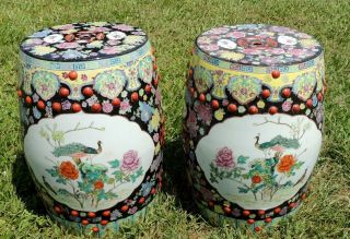 Pair Antique/Vtg Large Chinese Porcelain BIRD Barrel Garden Pedestal Stool Seats 3