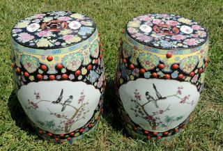 Pair Antique/Vtg Large Chinese Porcelain BIRD Barrel Garden Pedestal Stool Seats 8