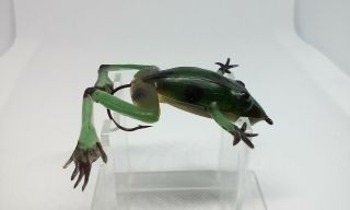 Vintage Burke Frog green 2.  5 