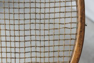 Antique Tennis Racket c 1880 - 1900 4