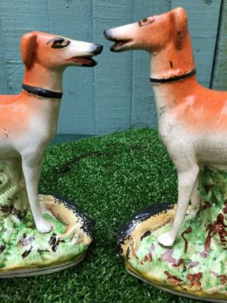 PAIR: 19thC STAFFORDSHIRE GREYHOUND DOGS WITH RABBITS TO BASES c1880s 4