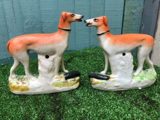 PAIR: 19thC STAFFORDSHIRE GREYHOUND DOGS WITH RABBITS TO BASES c1880s 6