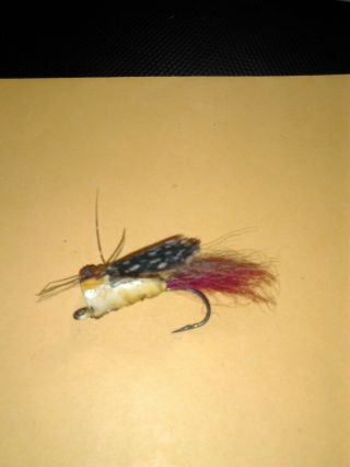 VINTAGE FLY WOOD AND HAIR/FEATHER POPPER VINTAGE,  TOPWATER BAIT. 3