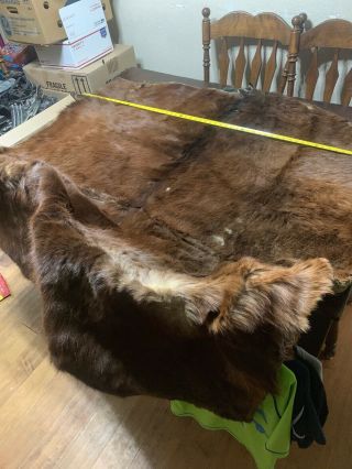 Antique Horse Hide Over 150 Years Old Hand Made With Wool Back/dog Sled Blanket