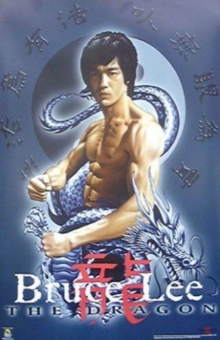 Bruce Lee Poster - Enter The Dragon - Karate Rare