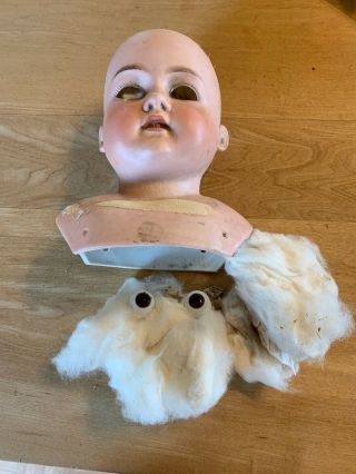 German Am 370 Antique Bisque Doll Head - Two Small Eye Chips - Eyes Need Set