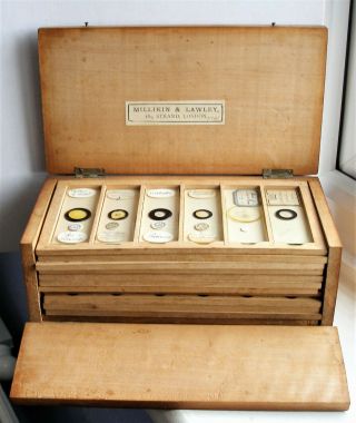 Antique Microscope Slides (72) In Millikin & Lawley Pine Display Case