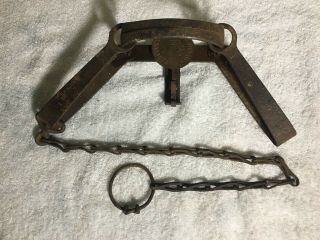 Antique Newhouse 2 Steel Trap - Good,  Cut Link Chain
