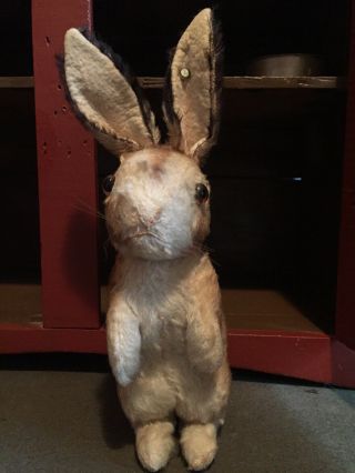Antique Steiff Rabbit At Attention Steiff Pin In Ear 1929 - 1930