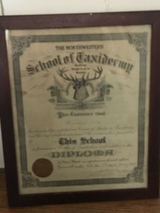 Reserved For Jean Antique Framed Northwestern School Of Taxidermy Diploma 1925
