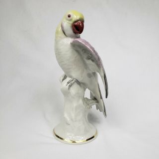 LARGE Karl Ens Volkstedt German porcelain figure,  large size parrot bird 11 1/4 