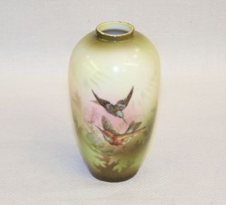 Rare Antique R S Prussia Or Royal Bayreuth Hummingbird Design Vase C1910.
