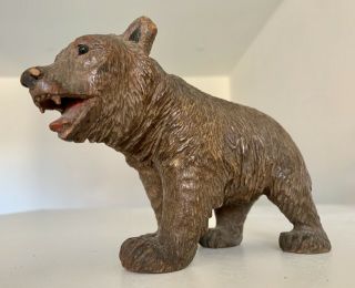 An Antique Charming Black Forest Hand Carved Wood Bear,  19th Century.