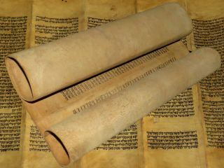 Torah Scroll Bible Jewish Fragment 200 Yrs Old From Iraq Leviticus & Numbers.
