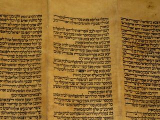 TORAH SCROLL BIBLE JEWISH FRAGMENT 200 YRS OLD FROM IRAQ Leviticus & Numbers. 5