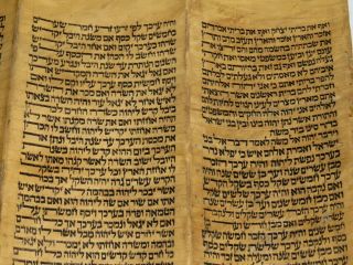 TORAH SCROLL BIBLE JEWISH FRAGMENT 200 YRS OLD FROM IRAQ Leviticus & Numbers. 6