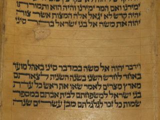 TORAH SCROLL BIBLE JEWISH FRAGMENT 200 YRS OLD FROM IRAQ Leviticus & Numbers. 8
