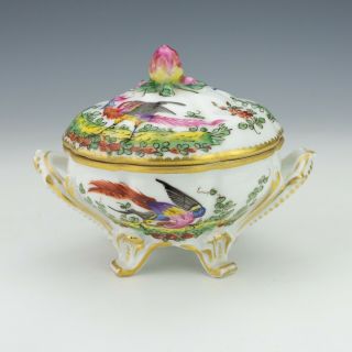 Antique Samson Porcelain - Hand Painted Exotic Birds Lidded Box - Unusual 3