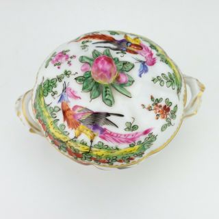 Antique Samson Porcelain - Hand Painted Exotic Birds Lidded Box - Unusual 5