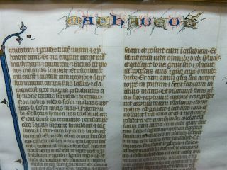 Illuminated Manuscript Bible Leaf Vellum Maccabees Latin